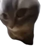 🤸