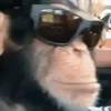 😎