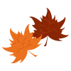 🍂