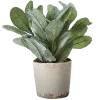 🌿