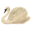🦢