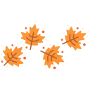 🍂