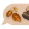 🍂
