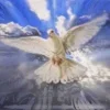🕊