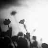 ⬛