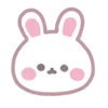 🐰