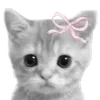 🐱