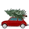 🌲