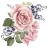 🌸