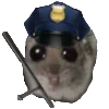 👮‍♀