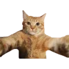 🫂