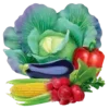 🥗