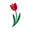 🌹