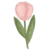 🌷