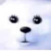🐻