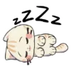 💤