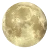 🌕