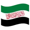🇸🇾