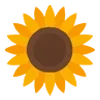 🌻