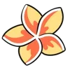 🌺