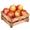 🍎