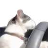 🚙