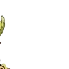🐭