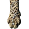 🐆