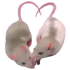 🐁