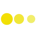 🟡