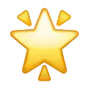 🌟