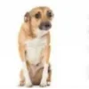 🥺