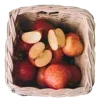 🍎