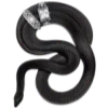 🐍