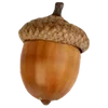 🪵