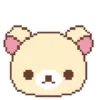 🐻