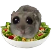 🥗