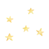 ✨