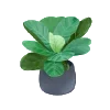 🌿