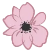🌺