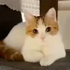 😀