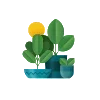 🌼