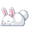 🐰