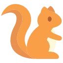 🐿️