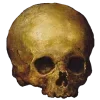💀