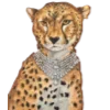 🐆