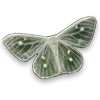 🦋
