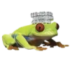 🐸