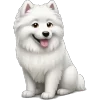 🐶