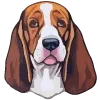 🐶